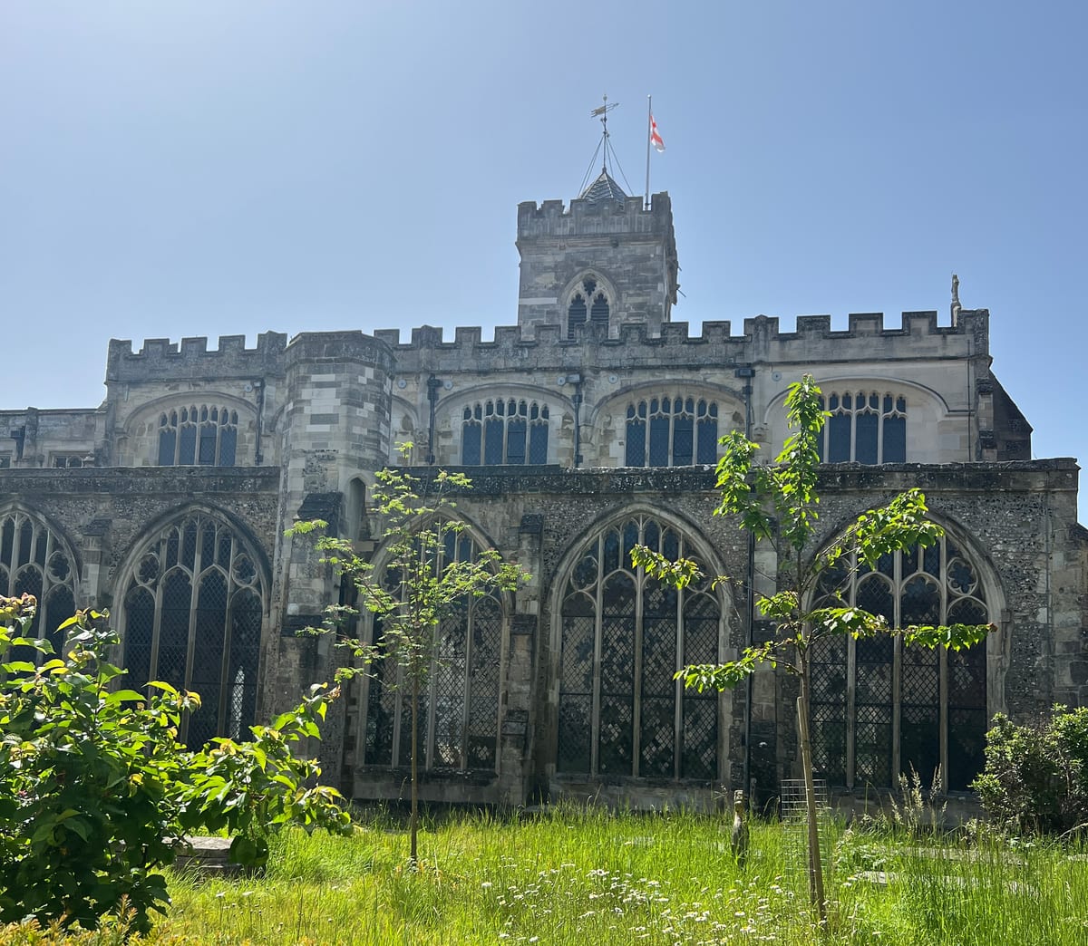 A side view of St Thomas' Church (Salisbury), with trees in the foreground