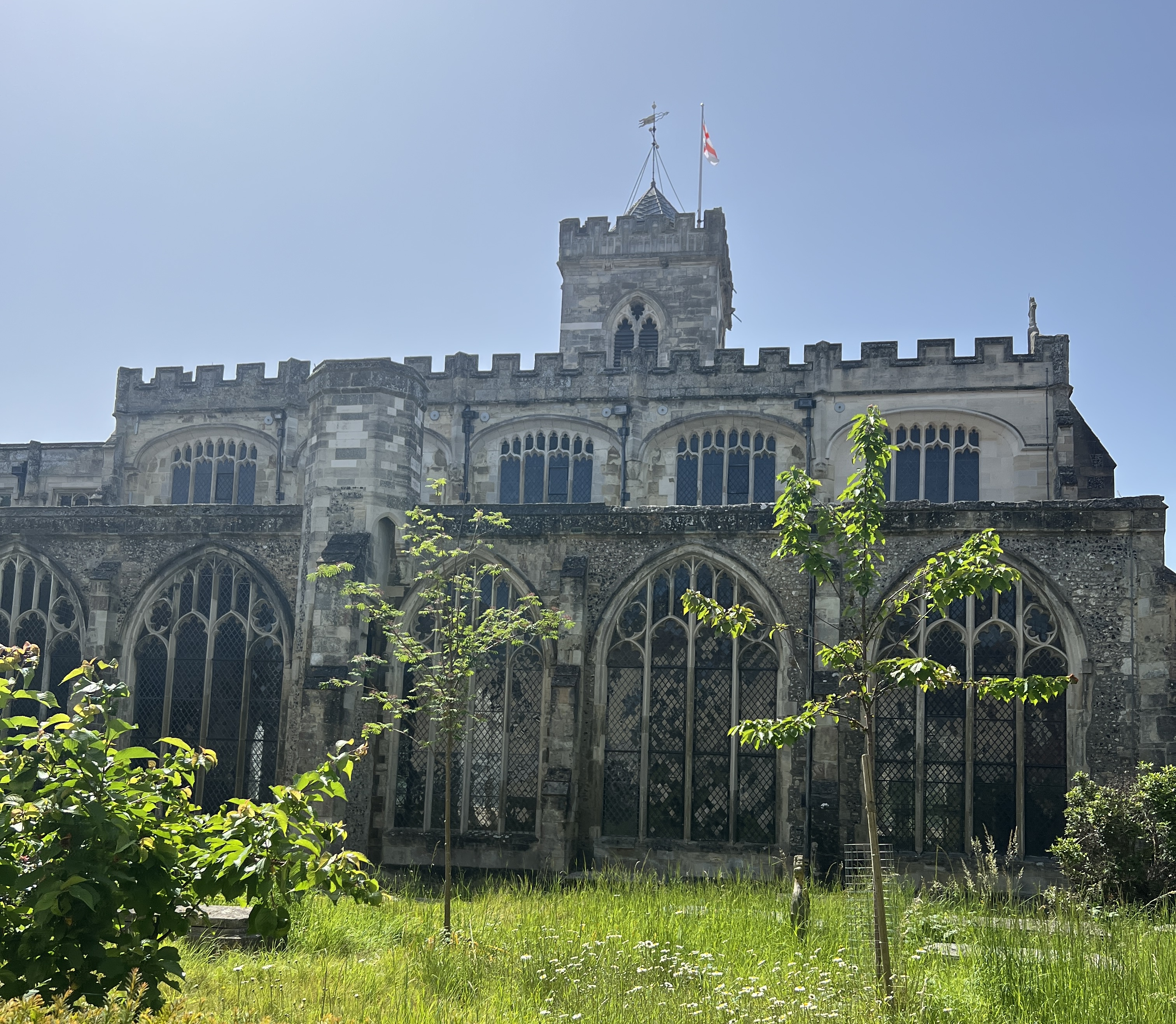 A side view of St Thomas' Church (Salisbury), with trees in the foreground