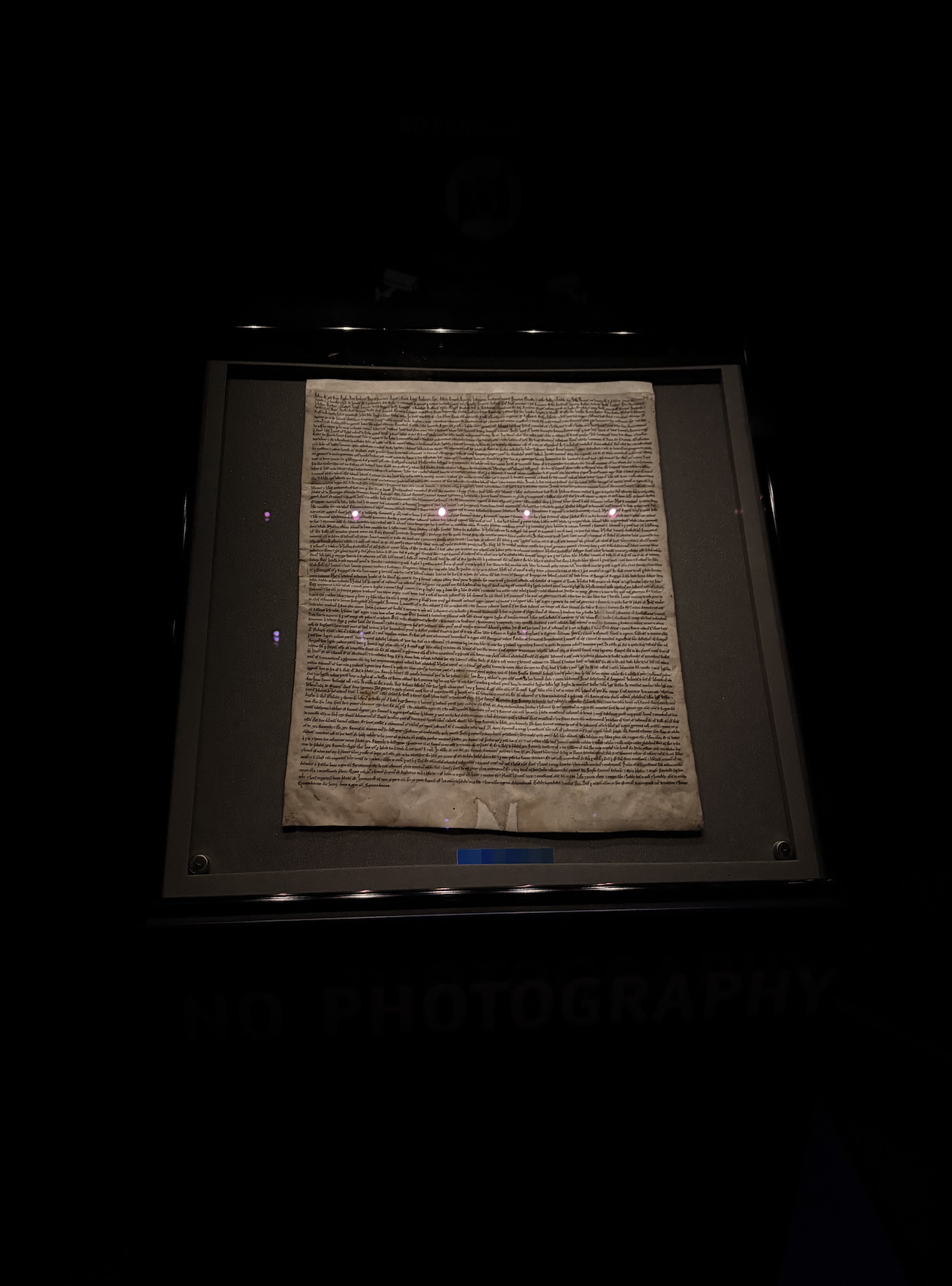 Magna Carta found in Salisbury Cathedral's Chapter House