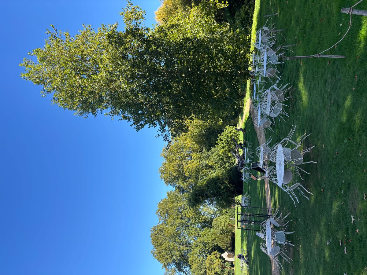Outdoor café seating by the Old Kitchen Café at Mottisfont
