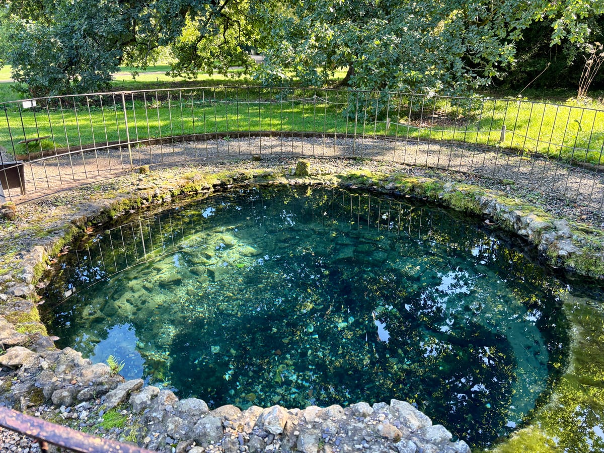 The natural font at Mottisfont
