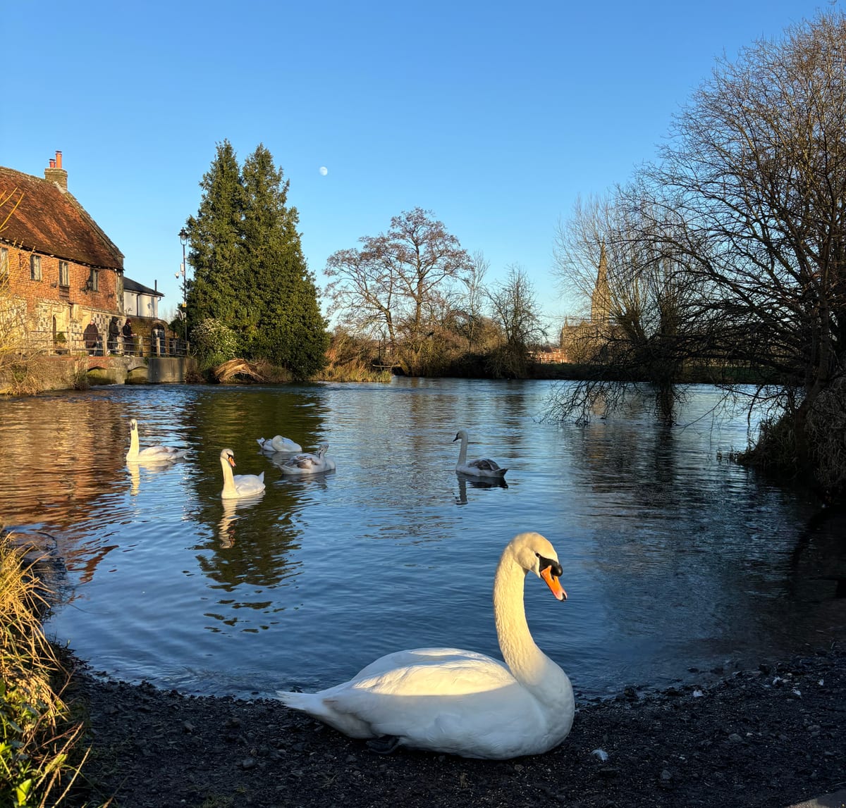 The Old Mill pub in Salisbury on the River Nadder